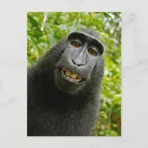 100limiti