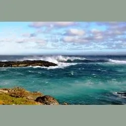 Southern Shore Sounds -