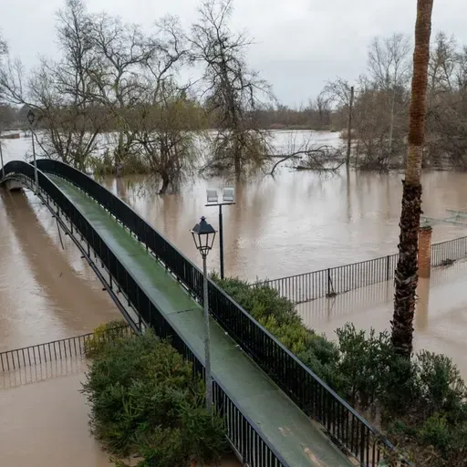 Economía en Andaluz 13 de febrero de 2026