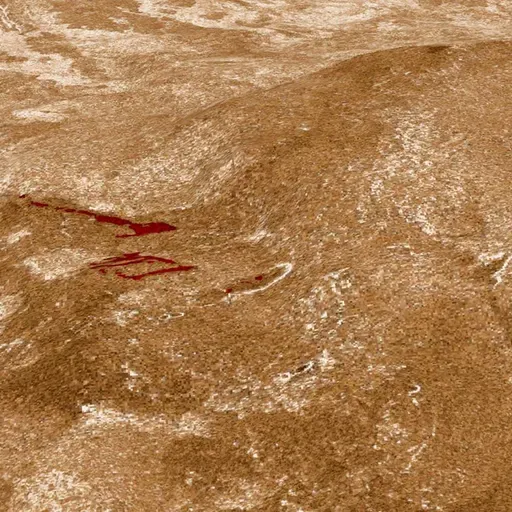 ¿Vida en Venus? Una posibilidad de la que sabremos más en 2025