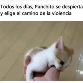 INDISCRETO Bolivia