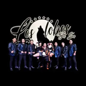 Radio Online Los Lobos Del Sur