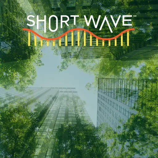 Could AI Go Green?