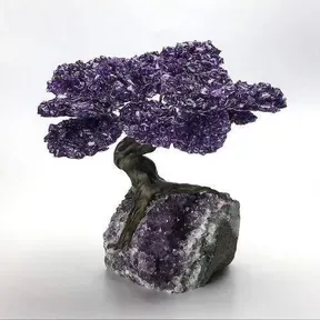 AMATISTA