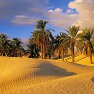 قصص الكتاب المقدس التونسية