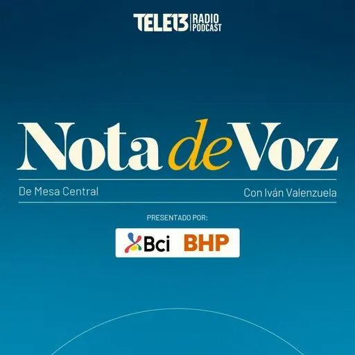 Viernes 23 de mayo: Llegó a Santiago el avión con 45 ciudadanos chilenos deportados desde Estados Unidos
