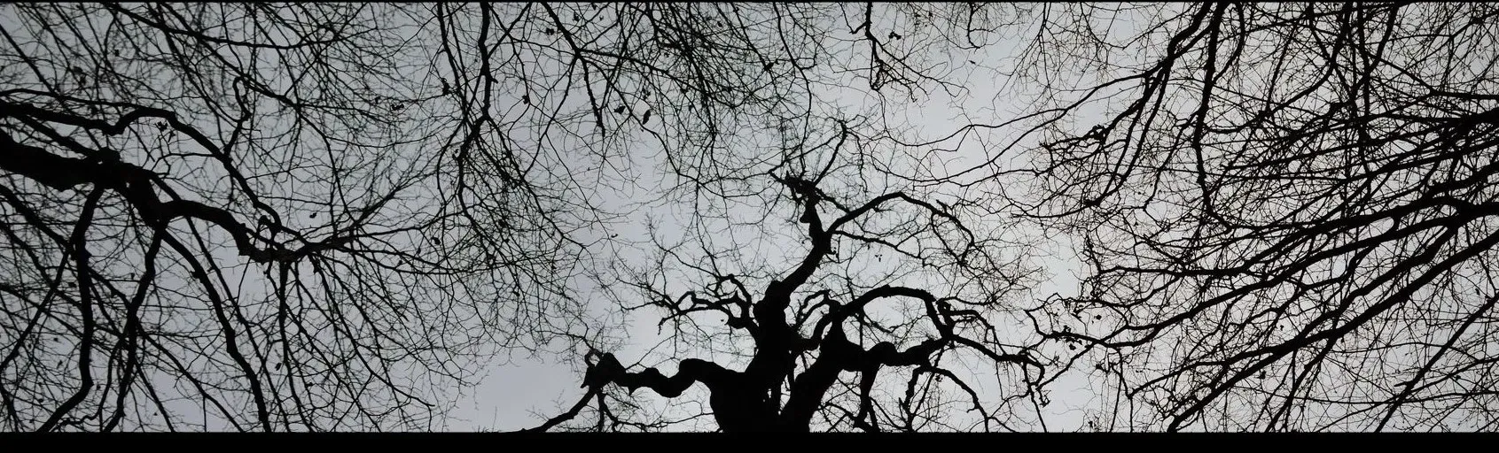 Through the Static Air