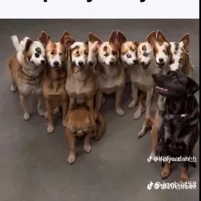 TAY_NOBODY