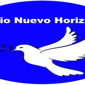 radio nuevo