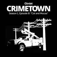 S1 E08: Cat and Mouse