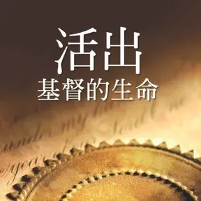 主日网络讲道信息