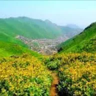 "Lomas De Lachay"
