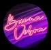 Vip-Radios.fm - Buena Vibra