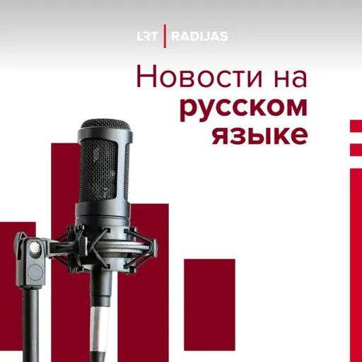 Сейм принял поправки к Закону о Литовском радио и телевидении