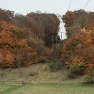 Weekly News 11. WW50 Preview, GPT100, Tunnel Hill, Age Group Records