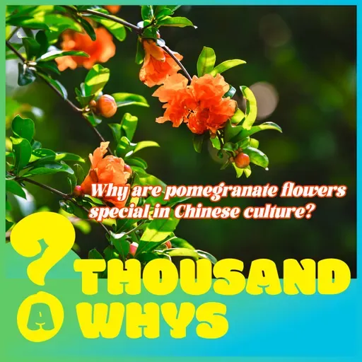 Why are pomegranate flowers special in Chinese culture? 
