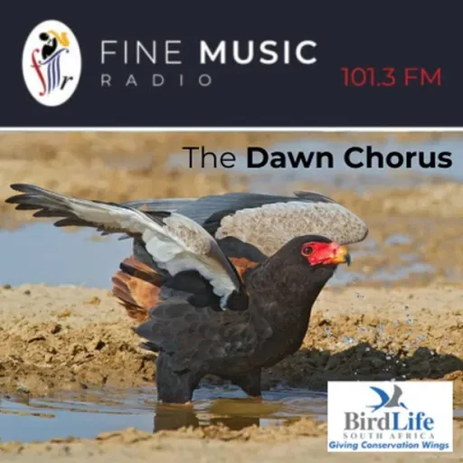 The Dawn Chorus - 08 September 25