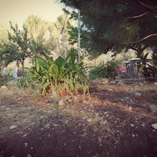 Cuentos Rumanos:Prólogo.