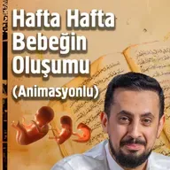 Hafta Hafta Bebeğin Oluşumu (Animasyonlu) | Mehmet Yıldız