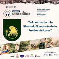 Del cautiverio a la libertad: el Impacto de La Fundación Loros