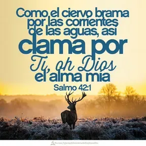 EL TIEMPO DE DIOS ES AHORA