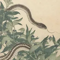 S8 Ep951:    Preview for Later Today: Jeremy Zakis reports that warm weather has disrupted snake hibernation, keeping venomous brown and red-belly black snakes active in suburban areas. Simultaneously, a massive mouse plague continues to ravage Western and South Au