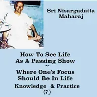 Nisargadatta Maharaj Guided Practice (7) ~How To See Life As A Passing Show~ Where Should Focus Be