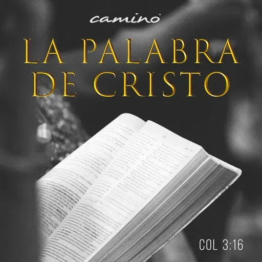 Oración 22 de noviembre (La palabra de Cristo)