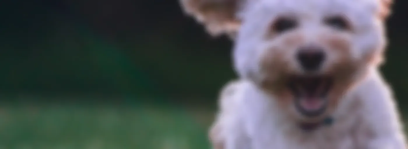 ஊர்வலம்