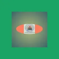 DUTIES OF NURSING OFFICER 11 GL8 BY NIGERSON BIDA ALUMNI ASSOCIATION mp3.mp3