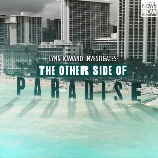 29. DNA expert explains process of solving decades-old murder in just days