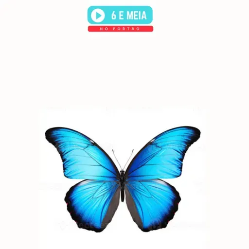 EP.430 - A rapariga da tatuagem da borboleta e Secret Story.
