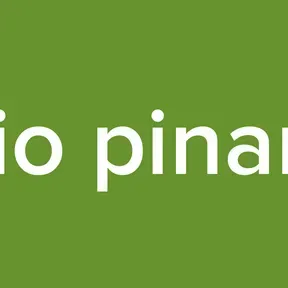 radio pinamar