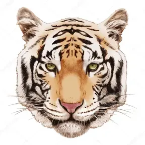 Tiger radio