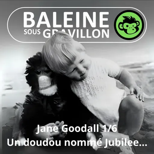 S07E21 Jane Goodall 1/6 : Il était une fois un doudou nommé Jubilee (Emmanuelle Grundmann)