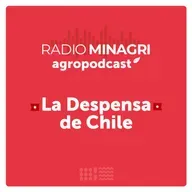 La despensa de Chile – Episodio 4: Circuitos cortos de comercialización