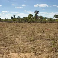 Le journal du 23 avril 2026 - Gouvernance pastorale à Gaya et mémoire de l’accord de paix de 1995