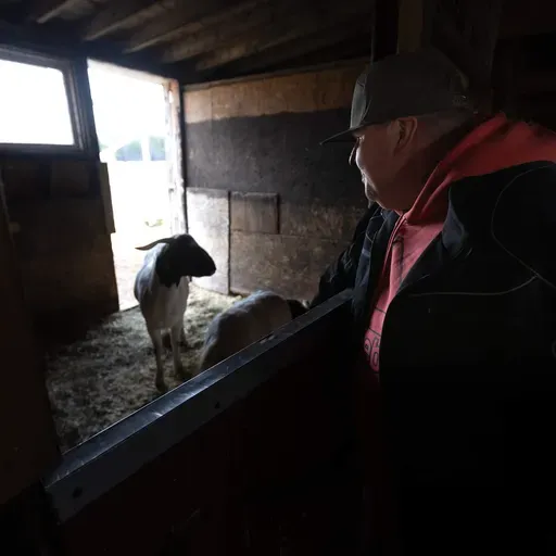 With two goats and a pony, an addiction treatment 'farm' takes root in Mass.