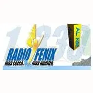 Radio Fénix – El Peñol en vivo