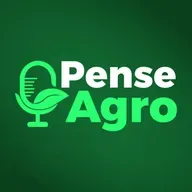 Pense Agro: Com oferta elevada no Brasil e no Mercosul, preço do arroz cai mais de 30% em SC