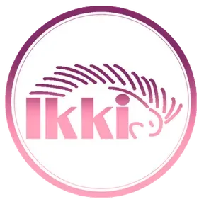 Radio Ikki