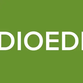 RAUDIOEDM-RL