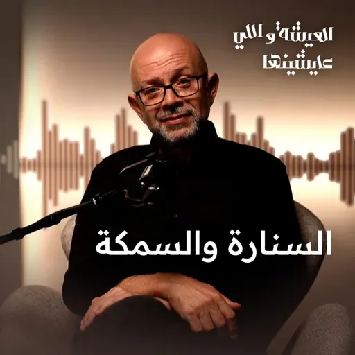 الصنارة في دماغك مش في إيدك!.. حكاية العلم والمعرفة من مصر القديمة للعالم