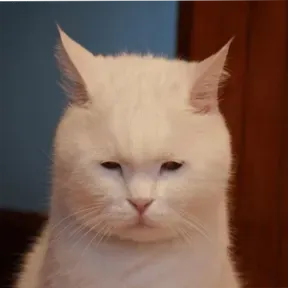 CUTESIESRP