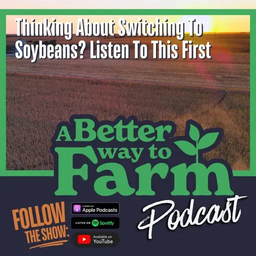 362: Thinking About Switching To Soybeans? Listen To This First