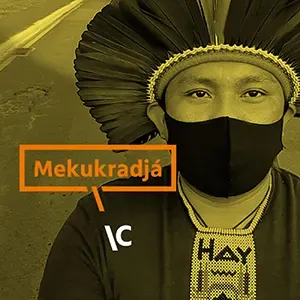 Dário Kopenawa Yanomami