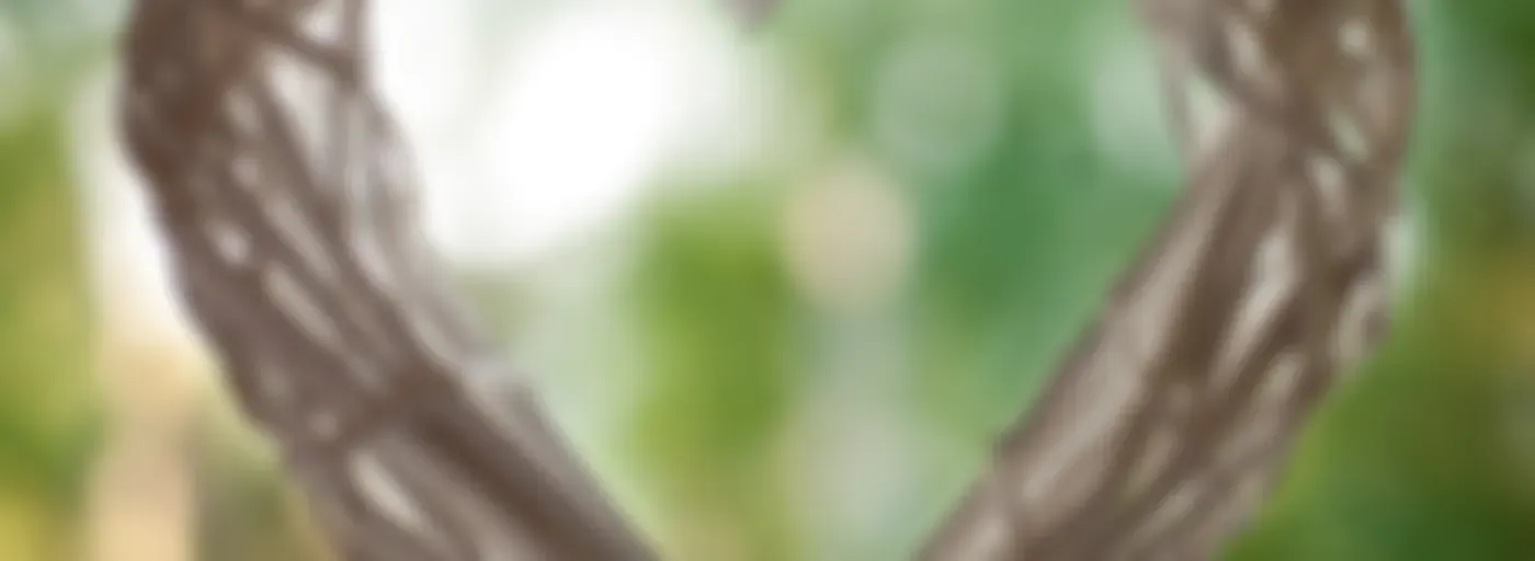 Имена милосердия - Радио ВЕРА