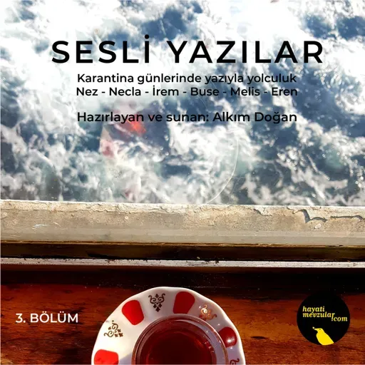 Sesli Yazılar III