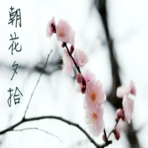 【朝花夕拾】爱的在错的时候-NJ墨离
