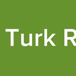 Vice Turk Radio
